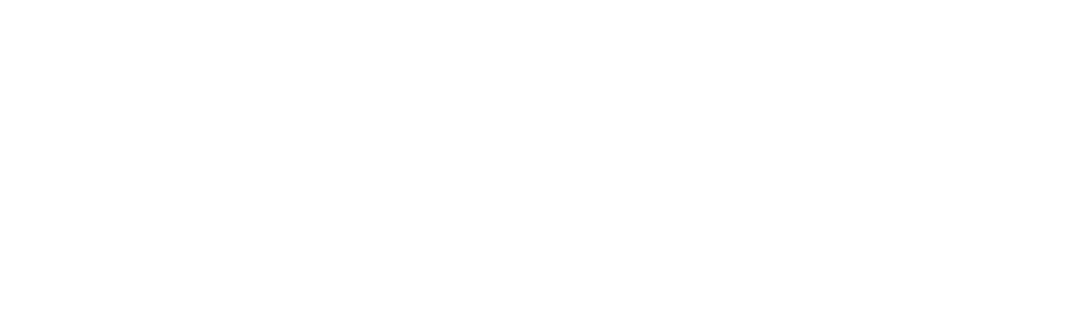 Revista Repleta
