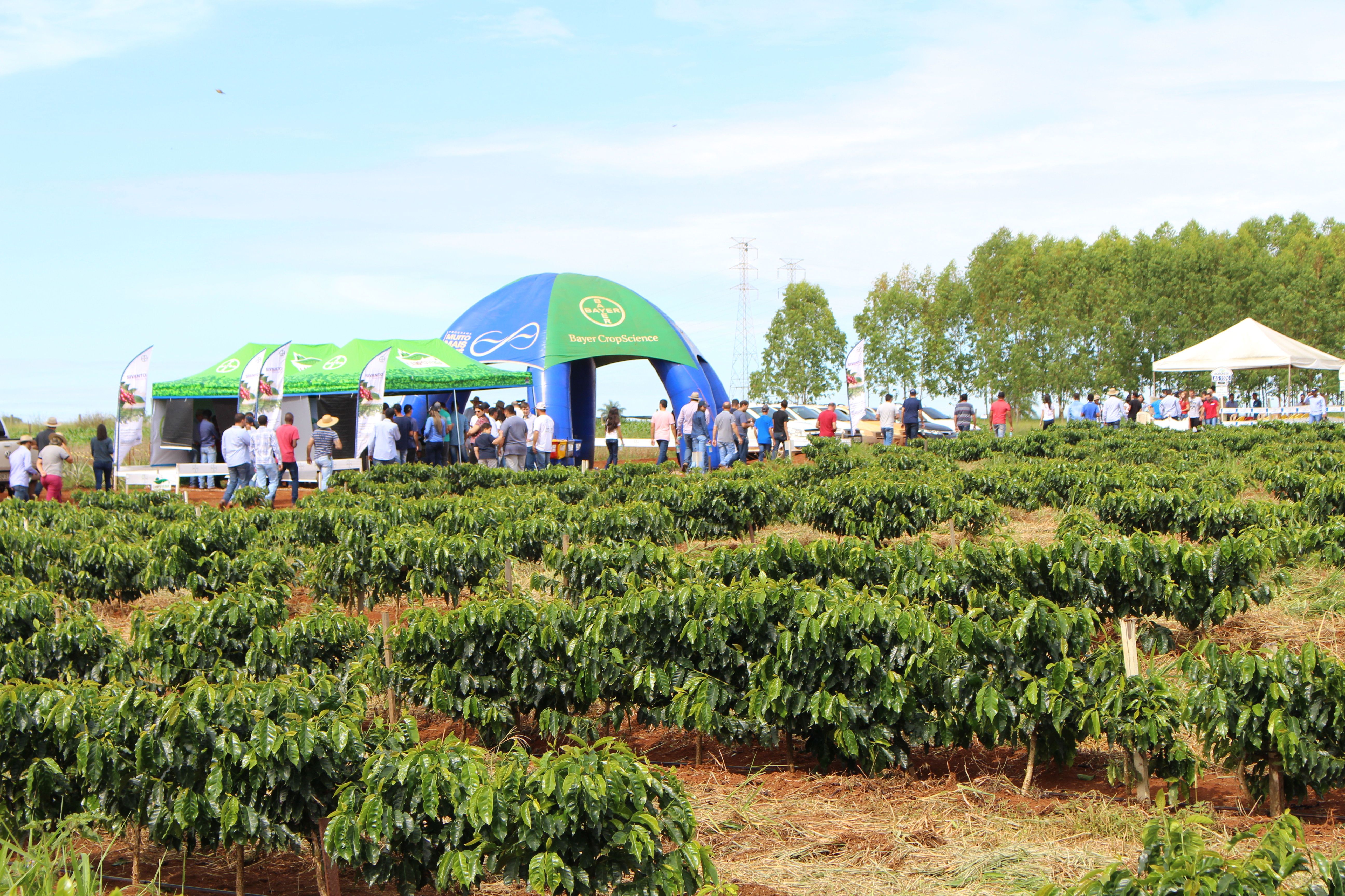 Campo Verde Agronegócios Sempre trazendo produtividade e sustentabilidade ao produtor rural
