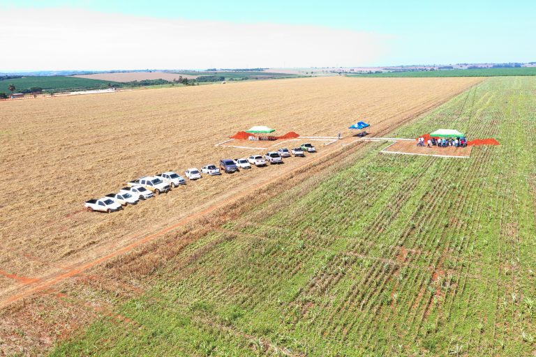 Campo Verde Agronegócios realiza dia de campo